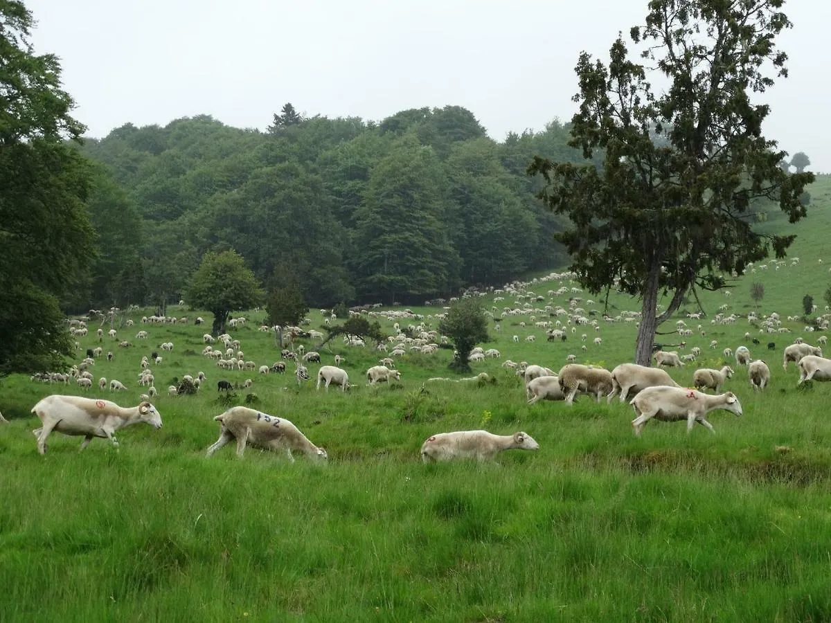 Du Cote De Lacoume Anla Bed & Breakfast
